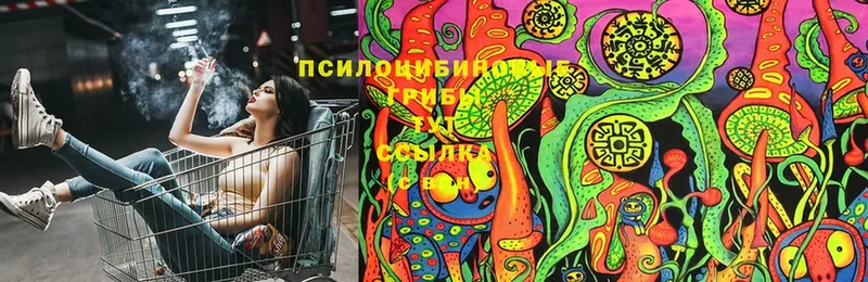 купить закладку  Голицыно  Псилоцибиновые грибы Magic Shrooms 